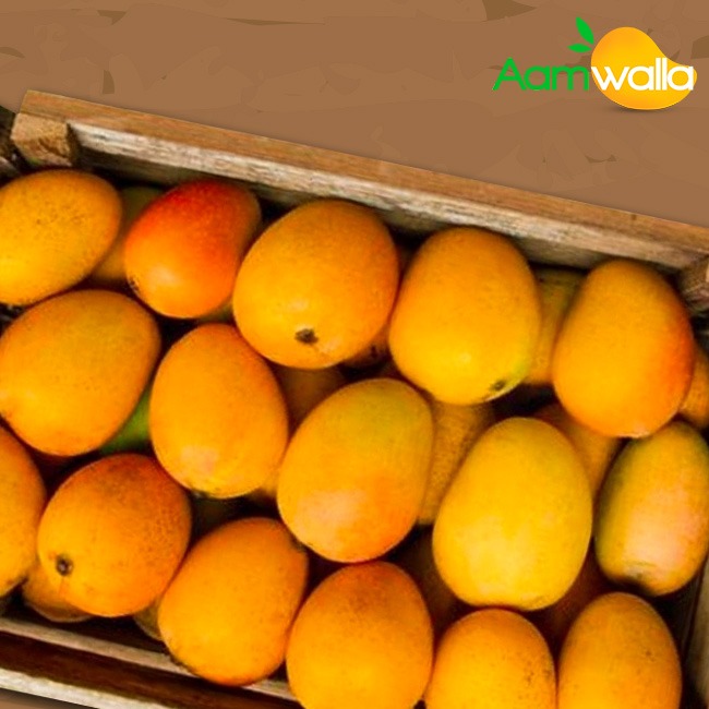 mango home delivery near me, alphonso mango, alphonso mango online,