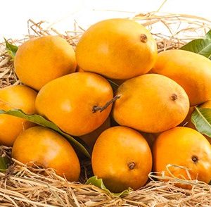 Organic Alphonso Mangoes