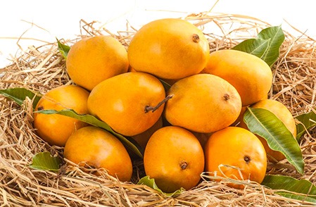 alphonso mangoes