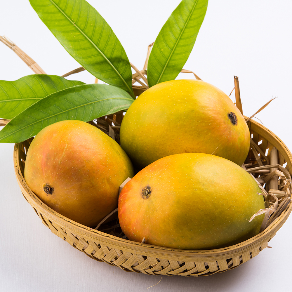 alphonso mangoes, 