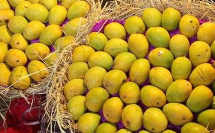 How To Identify Alphonso Mangoes Mango