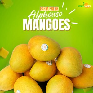 farm fresh alphonso mangoes,