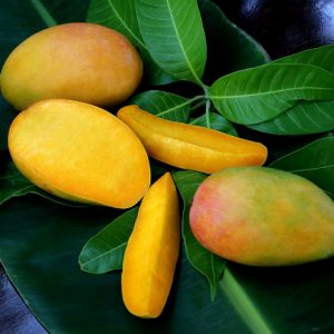 Indian Alphonso