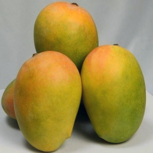 kesar mango online,