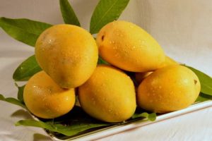 badami mango online, 