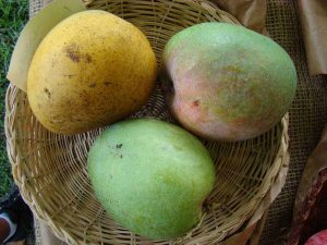 langra mango, langra mango online, langra mango price in india, 