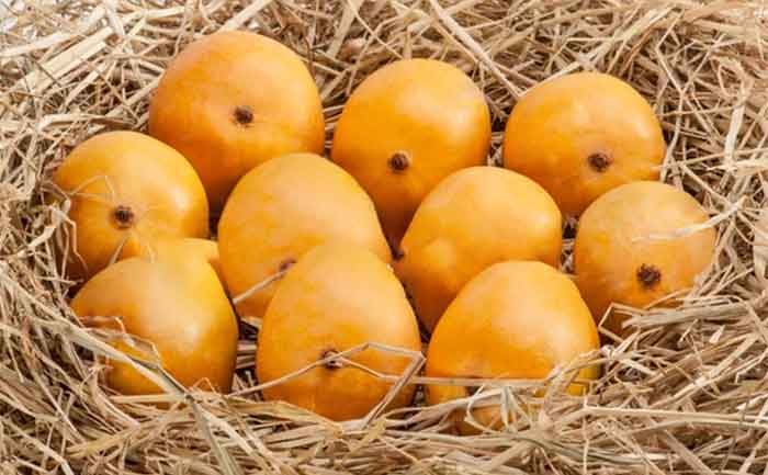 alphonso mangoes storage, how to store mangoes,