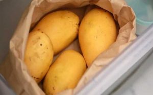 ways to store organic devgad mangoes, farm-fresh mangoes, 