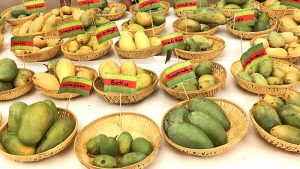 indian alphonso mangoes, varieties of indian mangoes, 