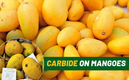 aamwalla, buy mangoes online, order mangoes online, buy alphonso mangoes online