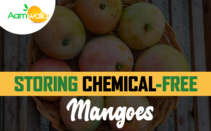 How To Store Chemical free Mangoes Without A Fridge