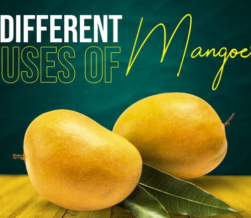 6 Different Use of Mangoes
