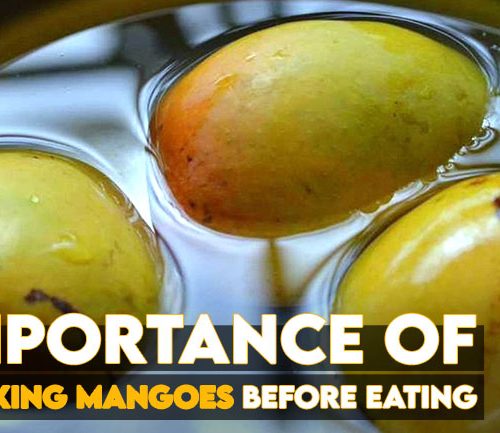 Importance of soaking mangoes before eating