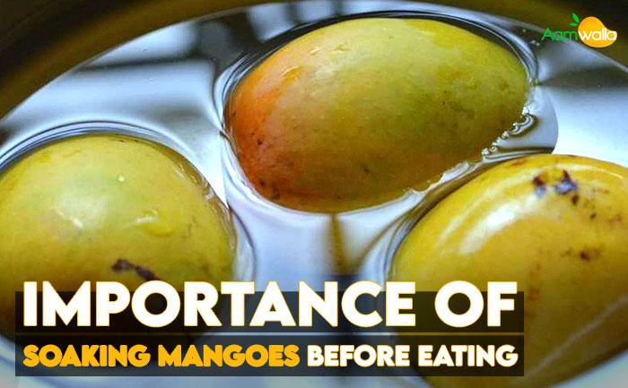 soaking mangoes before eating,