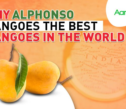 Why Alphonso Mangoes the best mangoes in the World?