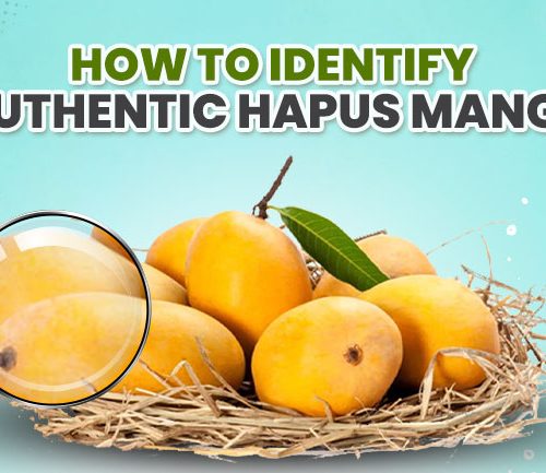 Identify farm fresh, authentic Hapus Mangoes