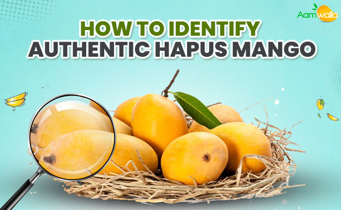 identify real and farm fresh hapus mangoes,