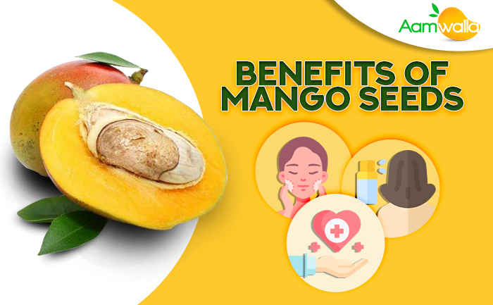 Amazing Mango Seeds Benefits for Skin, Hair and Health
