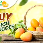 How To Buy Fresh Mangoes