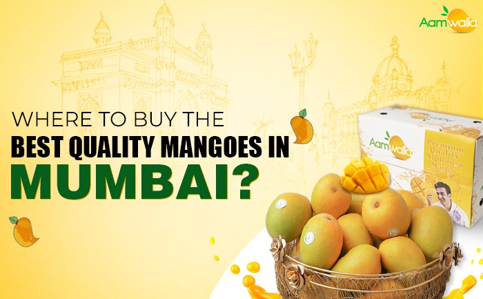 Where to buy the best quality mangoes in Mumbai?