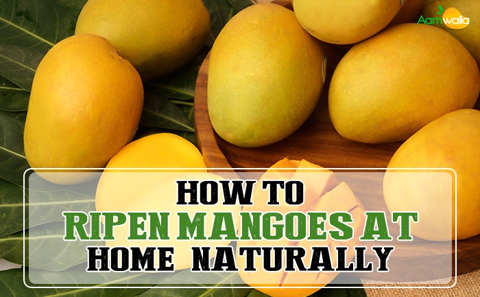 how to ripen mangoes naturally and home