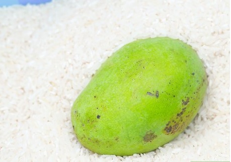 mangoes in raw rice, 